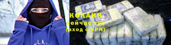 дживик Мегион