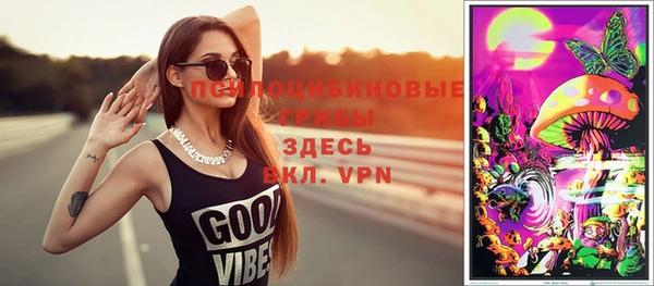 дживик Мегион