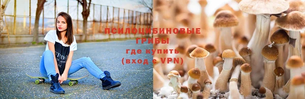 стафф Александровское