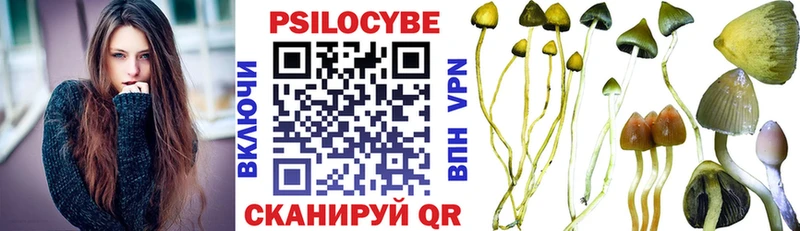 Галлюциногенные грибы Cubensis Красный Холм