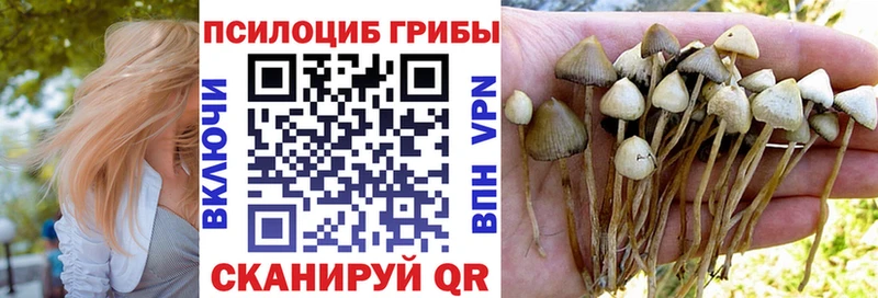 Галлюциногенные грибы мицелий  Купить где  Красный Холм 